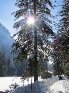 Gallery image of Pension Marianne - Chiemgau Karte in Inzell