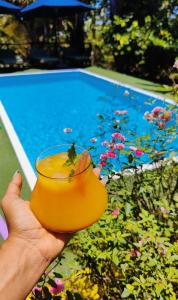 une main tenant un verre devant une piscine dans l'établissement Bungalows des tropiques, à Nosy Be