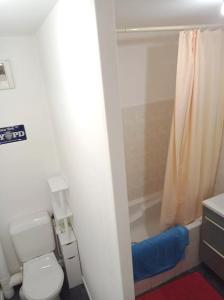 a small bathroom with a toilet and a shower at Studio a Clermont Ferrand in Clermont-Ferrand