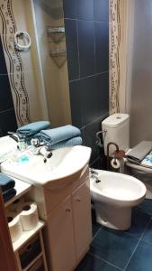 een badkamer met een wastafel, een toilet en een spiegel bij Apartamento Riglos Candanchu in Candanchú