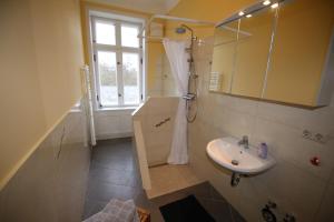 uma casa de banho com um lavatório, um chuveiro e um espelho. em Herrenhaus Hohewarte em Lübeck