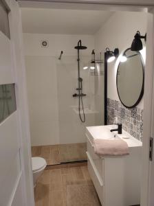 bagno con doccia, lavandino e specchio di Apartament Dziwnów a Dziwnów