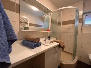 Kúpeľňa v ubytovaní Apartmány Friends Tatry