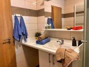 Kúpeľňa v ubytovaní Apartmány Friends Tatry
