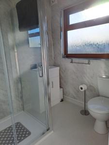 a bathroom with a shower and a toilet and a window at River Bay - Norfolk Broads in Brundall