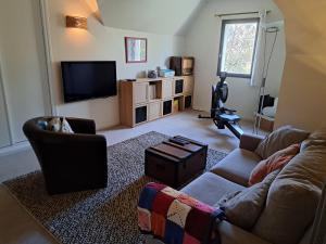 een woonkamer met een bank en een tv bij Au Chat Perché espace familial in Mareil-sur-Mauldre