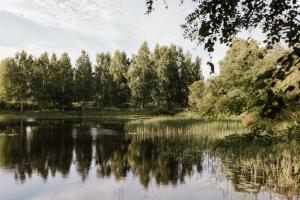 Miehikkälä的住宿－Angervo，享有背景树木的湖泊美景