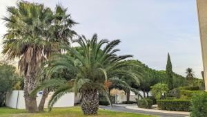 Jardí fora de Standing Presqu'île de la Lagune - Piscine - Mer & Nature