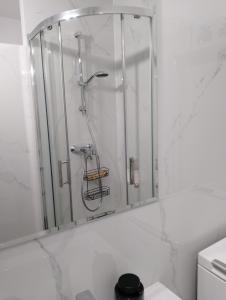 een douche in de badkamer met een spiegel bij CentroPark Apartament in Olsztyn