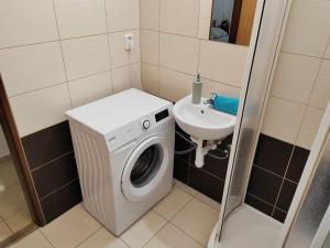 baño pequeño con lavadora y lavamanos en Apartments Křenová Brno-center en Brno