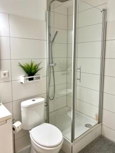 a bathroom with a toilet and a glass shower at Jutta Deluxe Apartment #325 in Bad Reichenhall +12 photos