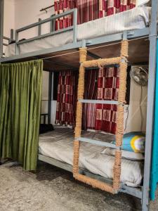 2 Etagenbetten in einem Zimmer mit einem Bett in der Unterkunft Space house hostel in Rishikesh