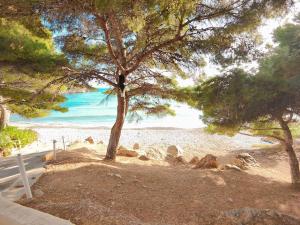 a view of a beach with trees and the ocean at Luxury Apartments Mascarat in Altea
