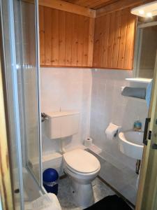 a bathroom with a toilet and a sink at Haus Fessel - Helenenruh in Elend