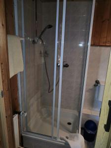 a shower with a glass door in a bathroom at Haus Fessel - Helenenruh in Elend