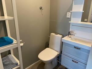 a small bathroom with a toilet and a sink at Tunturikelo - beautiful log cottage in the Fells in Utsjoki +16 photos