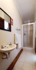 a bathroom with a sink and a shower at Albert Road Garden Guest House in Port Elizabeth