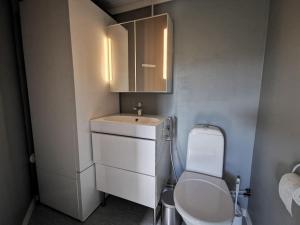 a small bathroom with a sink and a toilet at Kieppi, open your door and enjoy the wilderness in Utsjoki