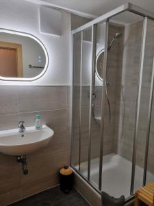 uma casa de banho com um chuveiro e um lavatório. em LANDHAUS DORNAU Apartments em Mayrhofen