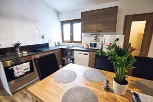 "U Čápa" Krásný apartmán v Sedleci廚房或簡易廚房