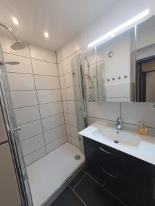 a bathroom with a shower and a sink and a mirror at Gipfelstürmer in Hahnenklee-Bockswiese