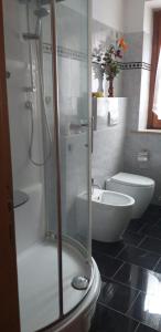 a bathroom with a shower and a toilet at Casa Valentina in Colombara