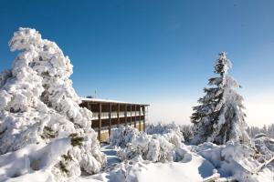 un grupo de árboles cubiertos de nieve frente a un edificio en Nationalpark-Hotel Schliffkopf, en Baiersbronn