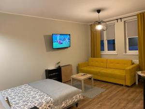 Televízia a/alebo spoločenská miestnosť v ubytovaní APARTAMENT WILEŃSKA #free parking, self check-in
