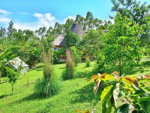 Κήπος έξω από το Chimpanzee Capital Safari Lodge