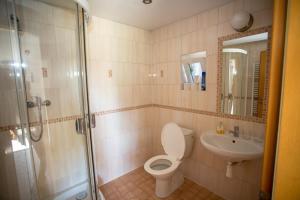 La salle de bains est pourvue de toilettes, d'un lavabo et d'une douche. dans l'établissement Penzion Garni, à Rožnov pod Radhoštěm