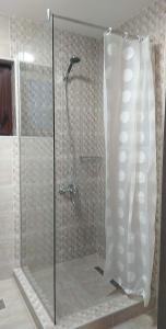 a shower with a glass door in a bathroom at Casa Familiei in Braşov