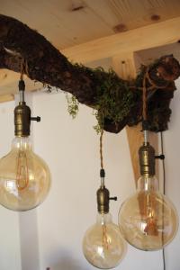 trzy szklane światła wiszące na gałęzi drzewa w obiekcie My Wooden Apartments w Tiranie