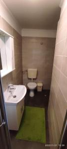 baño con lavabo, aseo y alfombra verde en Apartmani Kristina en Crikvenica