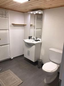 a bathroom with a toilet and a sink at La Maisonnette : charmante maison indépendante in Salgesch +23 photos