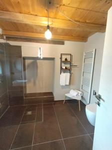 a bathroom with a shower and a toilet and a sink at Dimora DarSenso in Albaretto Della Torre 