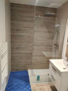 a bathroom with a shower and a blue rug at Logement complet à Villeurbanne in Villeurbanne