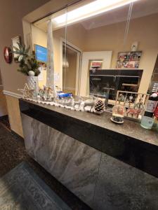 a counter in a store with decorations on it at Hotel Millennium in Locarno