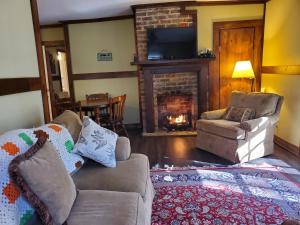 a living room with a couch and a fireplace at The Cabins at Healing Springs in Crumpler