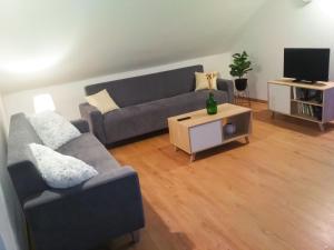 a living room with a couch and a tv at Holiday Home Grand Jardin by Interhome in Balatonkeresztúr +11 photos