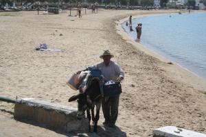Majutusasutuse Petra Holiday Village külastajad