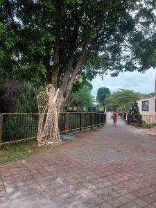 a net on a fence next to a tree at Recanto Cheio de Cheiro in Guararema