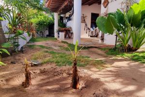 two trees in the dirt in front of a house at Casinha do Cauipe in Caucaia
