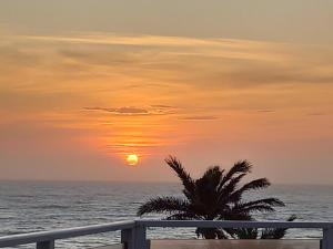 um pôr-do-sol sobre o oceano com uma palmeira em Dolphin Den em Port Shepstone
