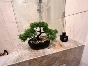 a potted plant sitting on a counter in a bathroom at Be Inn - Luxury Apartment Gliwice in Gliwice