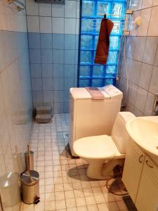 La salle de bains est pourvue de toilettes et d'un lavabo. dans l'établissement Edullinen majoitus Ähtärissä!, à Ähtäri