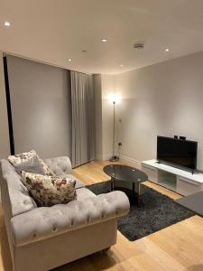 sala de estar con sofá y TV en Studio come 1 Bed flat in Vauxhall next to Battersea, en Londres