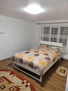 1 dormitorio con cama y alfombra en Casa YMY, en Sarmizegetusa