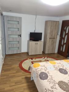 1 dormitorio con 1 cama y TV. en Casa YMY, en Sarmizegetusa