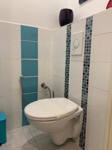 歐巴涅的住宿－Très jolie T2，一间带卫生间和淋浴的浴室