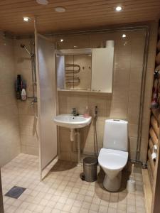 a bathroom with a toilet and a sink at Cottages SAA in Punkaharju